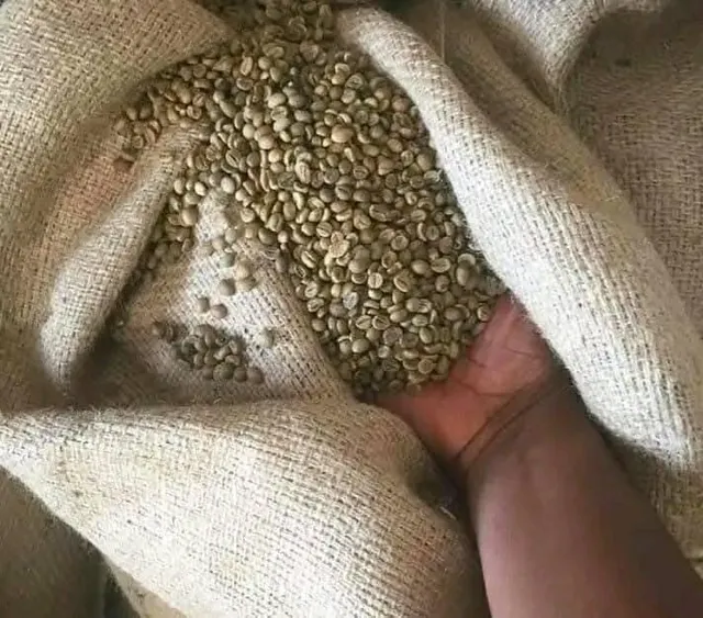 Arabica Green coffee Beans -Specialty Grade 1,Defect ,5/500g,International supplier - Image 3