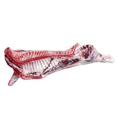 Super Organic Bulk-Packed Halal Beef Carcasses Freeze Dried Beef Tripe Food Grade LQF Process Including Fore Quarter. - Image 3