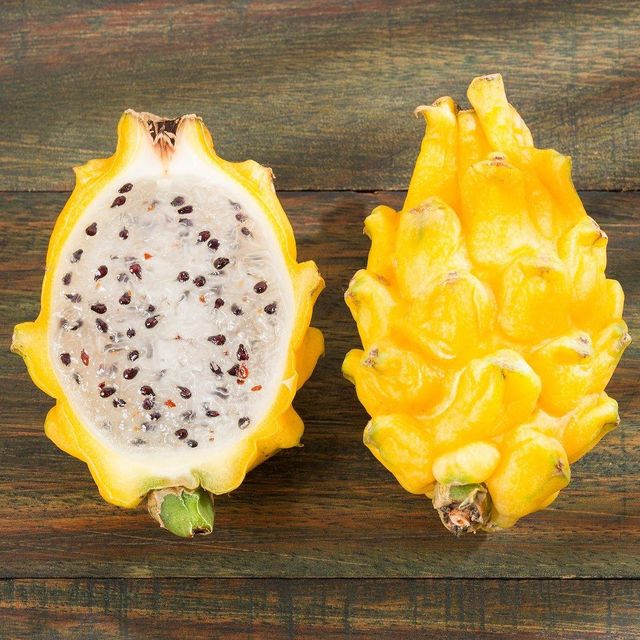 High Quality Fresh Yellow Dragon Fruit Best Price Pitaya with GAP Certification for Plant Application Exported from Vietnam - Image 3