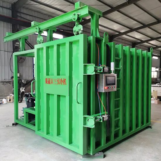 Customizable Commercial Fruit and Vegetable Precooling Machine - Image 3