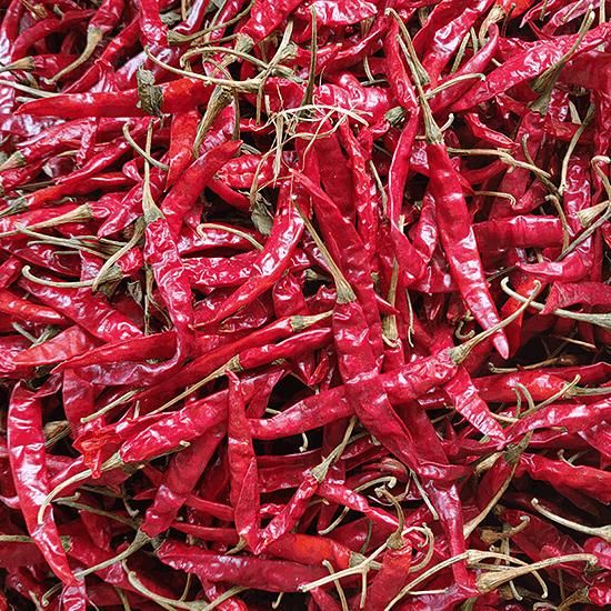 DRY RED CHILLIES ( TEJA S17) - Image 1