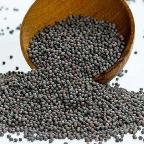 Premium Mustard Seeds Hs Code 1205.10 Admixture ≤ 1.0% Oil Content ≥ 42% Foreign Matter ≤ 2.0% Protein Content 20–24% Erucic Acid Level ≤ - Image 1