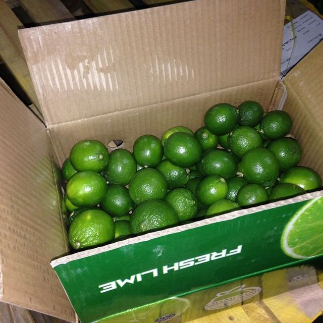 Fresh Lime/lemon Seedless Vietnam with high quality best pirce for export fresh lime/lemon ready to shipping EU, ASIA Market - Image 5