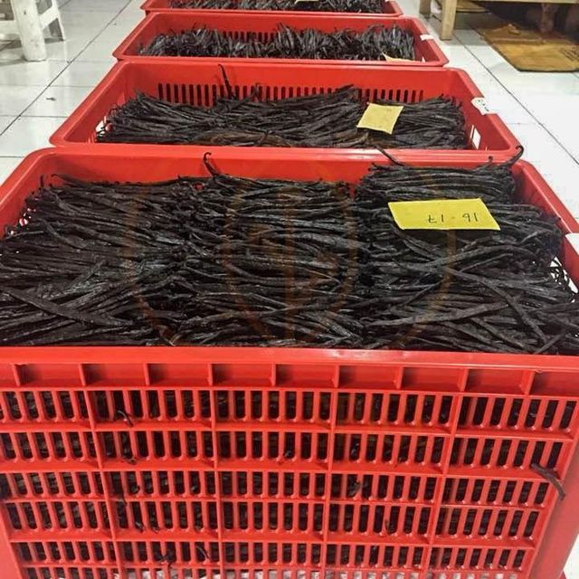 Organic Dried Vanilla Beans wholesale supplier and exporter - Image 3