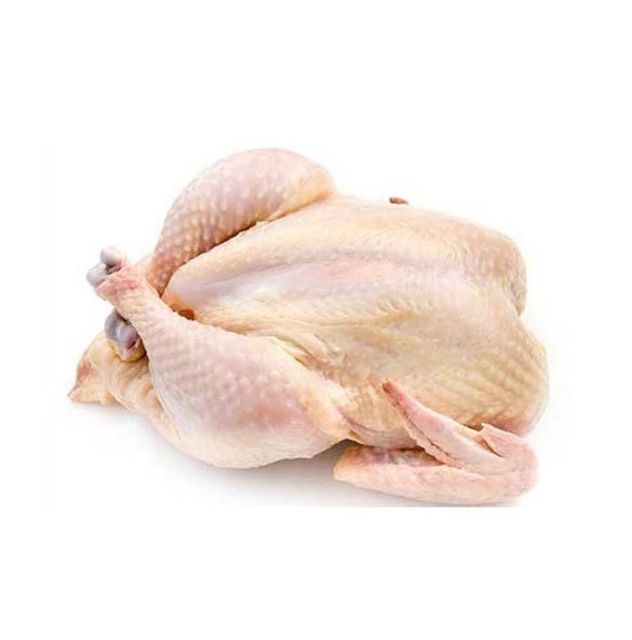 Wholesale Best Selling Chickens Frozen Whole Chicken Whole Chicken Frozen Whole Chicken - Image 4