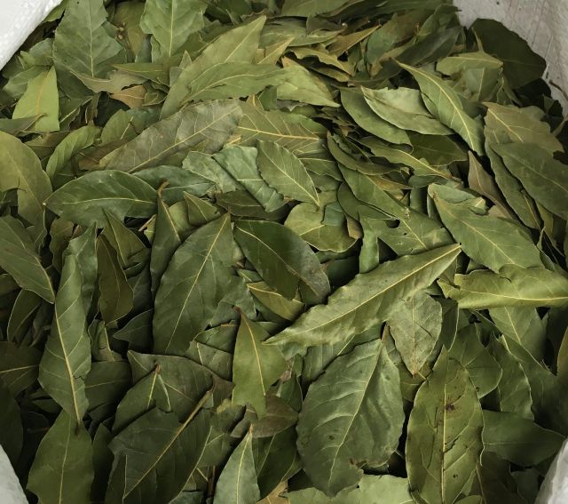 Dried Egyptian Bay Leaves - Image 1