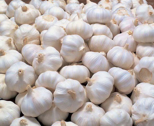 ORGANIC FRESH GARLIC - Image 3