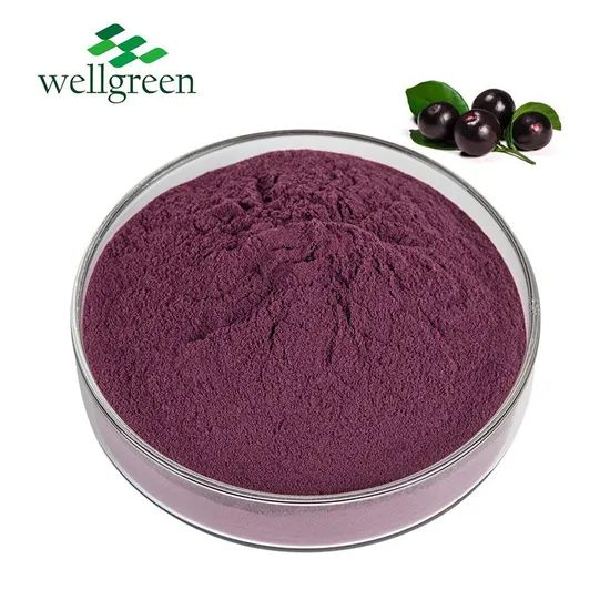 High Quality Acai Berry Juice Powder Fruit Flavor Powder Acai Berry Powder - Image 1