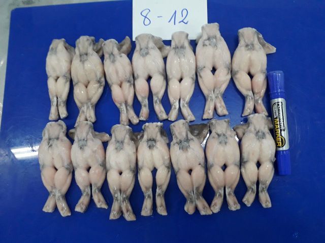 Best quality Frozen Skinless Frog Legs from Vietnam bulk packing / vacuum bag - Image 2