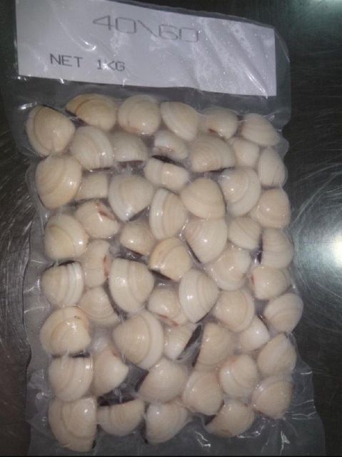 Frozen Cooked White Clam Shell On (Meretrix Lyrata) Storage Temperature −18 Degrees - Image 1