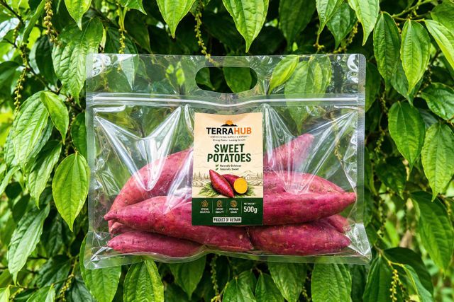FRESH SWEET POTATO - Image 2