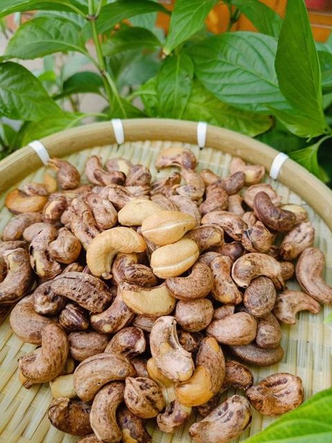 [Fresh/Roasted] CASHEW NUT (With/Without) Shells WITH HIGH QUALITY AND BEST PRICE - Image 1