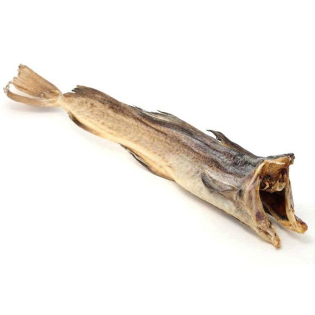 Best Selling Premium Dried Squid Available Fresh Ocean Taste Perfect for Retail and Wholesales - Image 3
