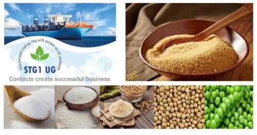 Soy, Sugar,Yellow Corn, Wheat and barley etc. - Image 1