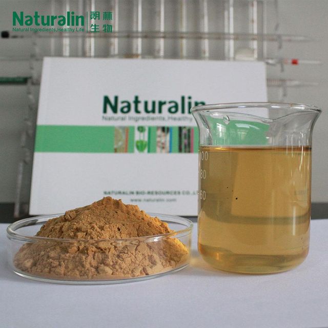 Mushroom Powder Blend - Image 3