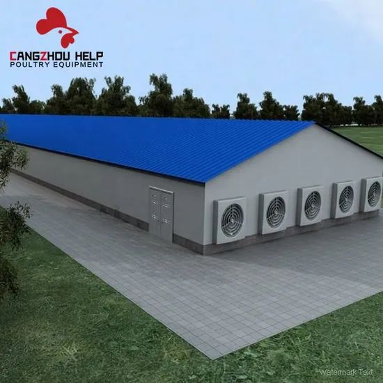 Modernization Steel Structure Building Chicken Coop for Poultry Farming - Image 2