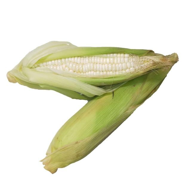 Bulk White Corn for export focused buyers requiring stable grain sourcing where White Corn remains reliable - Image 4