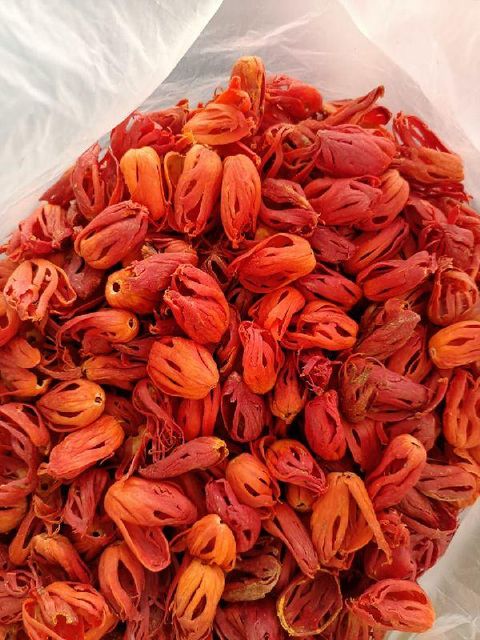 whole mace Grade A Mould Nil E. Coli Absent Total Ash Max 6% Insect Damage Nil Place of Origin India Drying Process Natural - Image 1