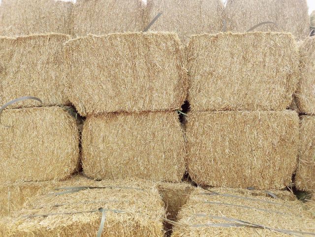 Wheat Straw Features Organic Type Durum Wheat, Soft Wheat Packaging Size > 10 kg to 25 kg, > 25 kg - Image 3
