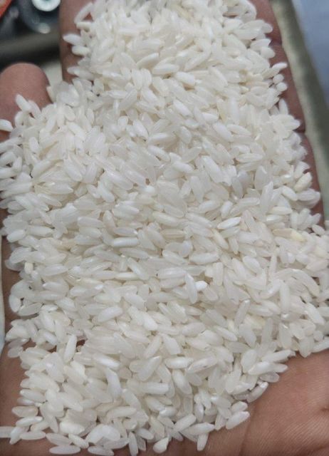 Basmati and Non Basmati Rice - Image 3