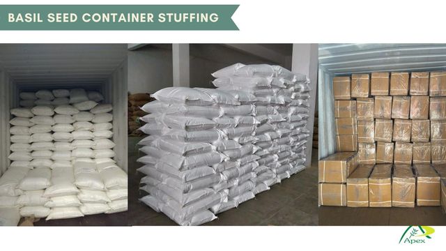 Holy Basil Seeds, Holy Basil Seed, Basil seeds, Basil Seed, Raw Basil Seed, Basil Seed bulk supplier from india - Image 2
