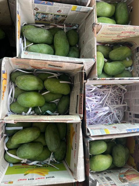 Vegatables - Image 16
