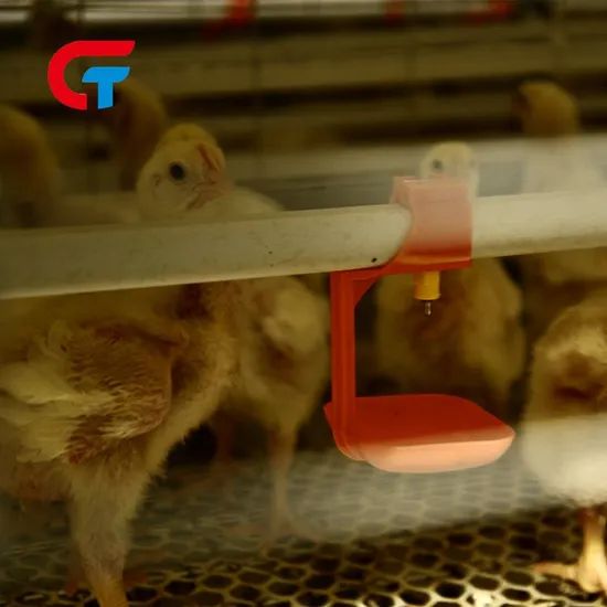 H-Type Chicken Cage 4-8 Tiers Auto Feeding Egg Collecting 1Y Warranty Hot Galvanized Steel - Image 5