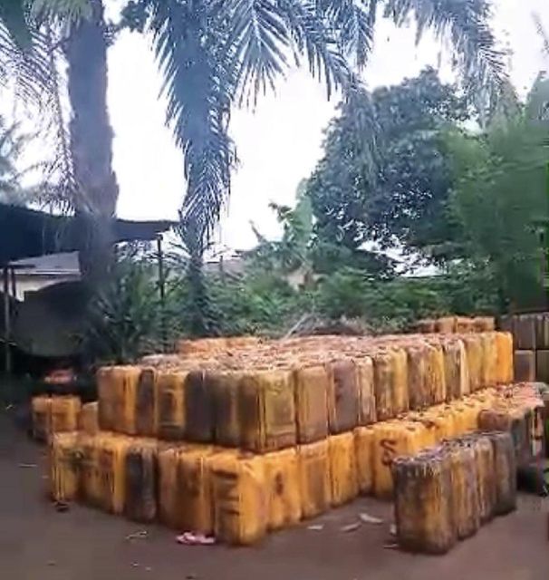 Raw palm oil - Image 1