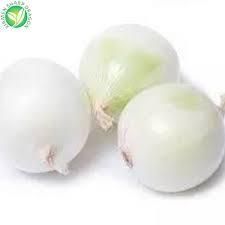 frozen onion Manufacturer Uzbekistan Size 40/50/60/70/80/90+ Color Yellow, Red, White Type frozen, fresh, dried Form Frozen, Dried, Fresh - Image 2