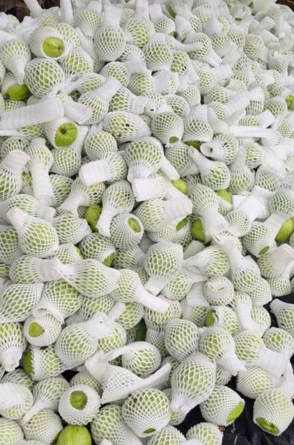 frozen fruit pulp Texture Frozen Pulp Flavor Natural Taste And Aroma Of Fresh Fruits Shelf Life Extended Without Compromising Flavor Or - Image 1