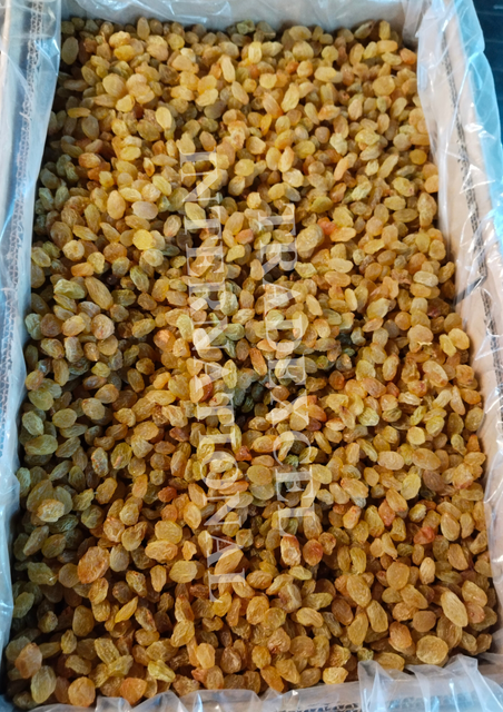 GOLDEN RAISINS - Image 3