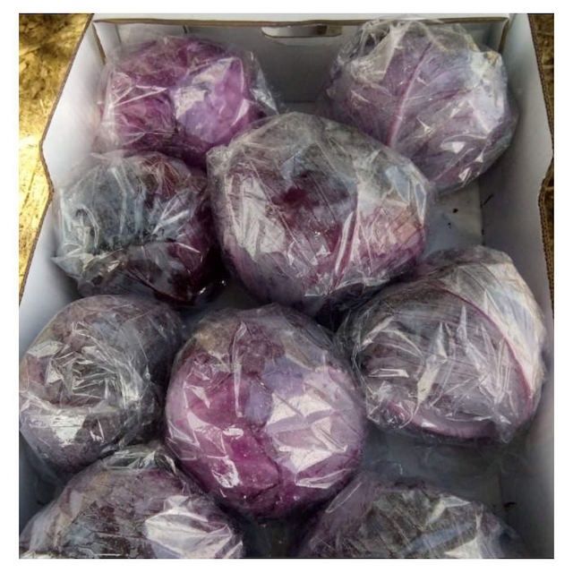 white Cabbage Style Fresh Address egypt Model Number 1 Quality Top Grade Manufacturer Bloom Taste Natural Taste Color Purple, - Image 5