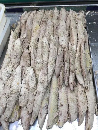 Frozen Precooked Skipjack Tuna Loin Type Fish Origin China HS Code 160414 Model NO. FF-33 Trademark DACHENG Process - Image 6