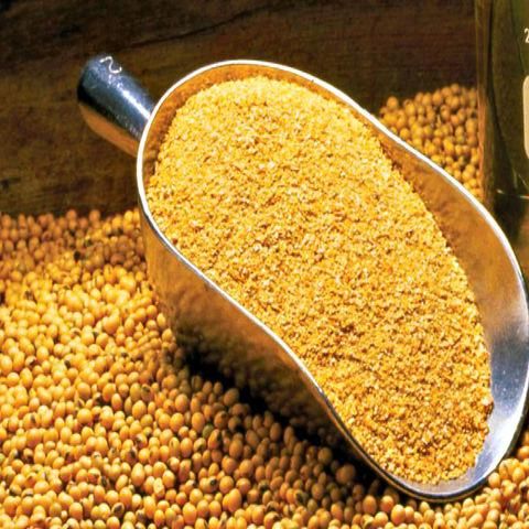 Hot Sale Meat & Bone Meal Animal Feed - Image 4