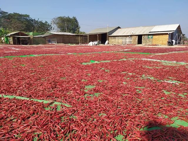 Dry Red Chilli - Image 1