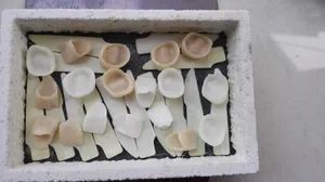 Microwave High Speed Dental Furnace Origin China Brand Synotherm Certification CE Model NO. DS-1500 Trademark SYNOTHERM Structure Horizontal Type - Image 2