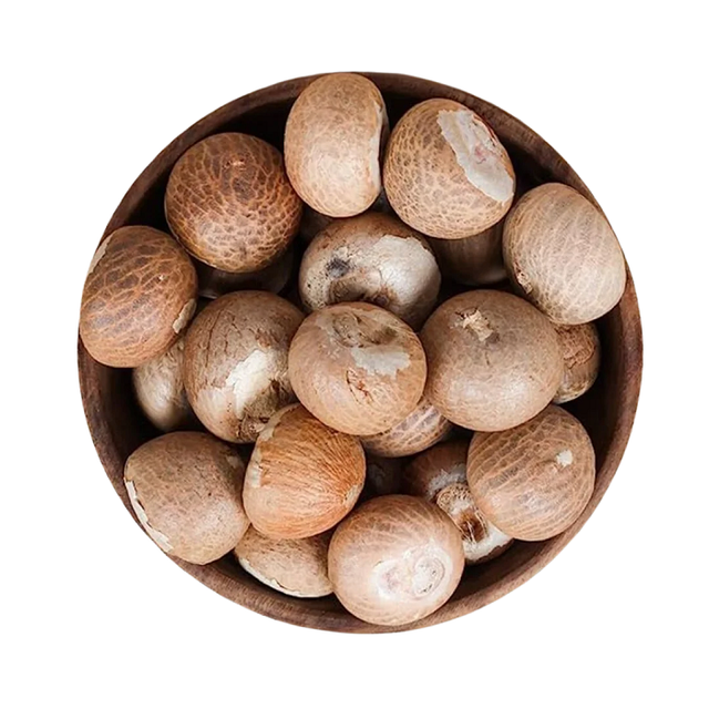 Premium Quality Betel Nuts Dried Areca Seed in Bulk Supply for Raw Processing Export Standard - Image 4