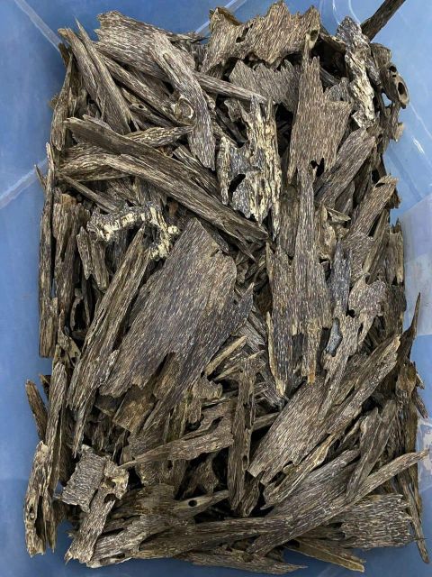 agarwood Kalimantan - Image 4