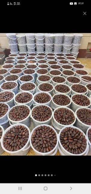 High-Quality Iranian Dates - Image 1