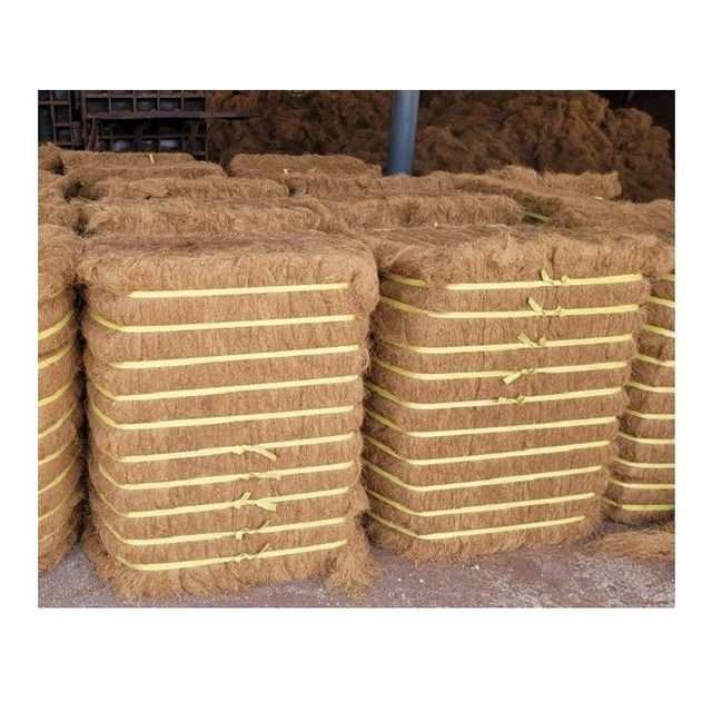 Best Quality Coconut Fiber Wholesale Exports From Portugal - Image 3