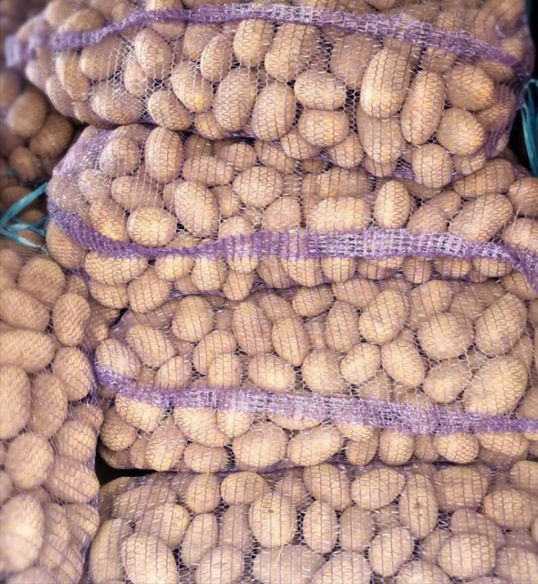 Ready for Global Markets Russet Burbank, Russet Norkotah Potatoes Carefully Harvested Packed in 10kg & 20kg Mesh Bags - Image 4