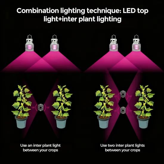 Side-Lighting High Luminous Intensity Density Waterproof Embedded LED Plant Grow Light for Indoor Greenhouse - Image 6