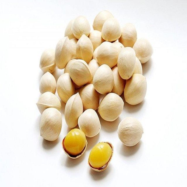 Good Quality Bulk Organic Dried Ginkgo Nuts 100% Pure Premium Quality Ginkgo Nuts - Image 5