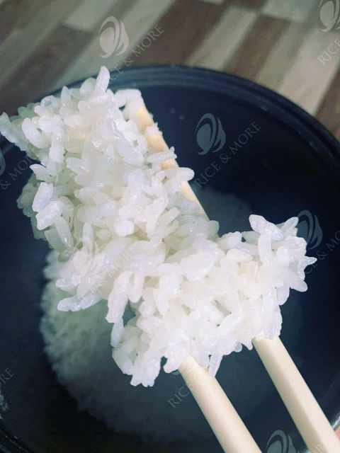 Japonica Sushi Rice, High Quality, 5% Broken - Image 2