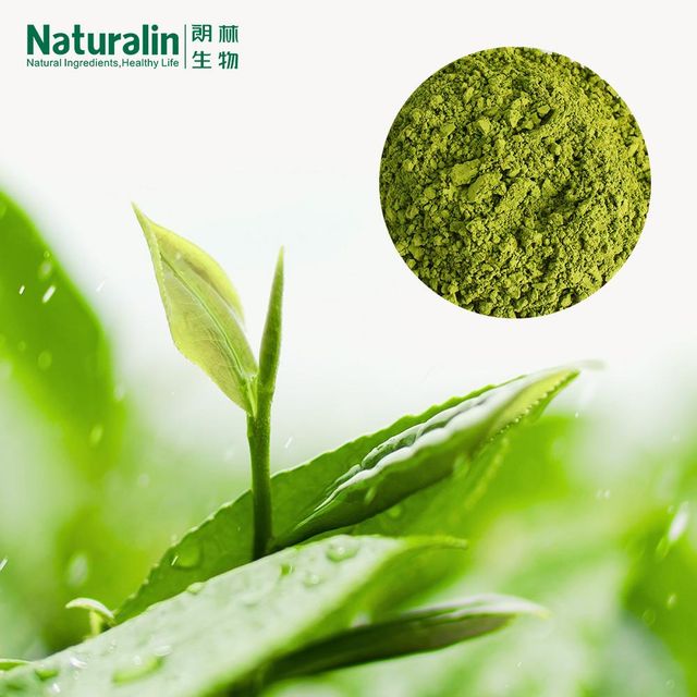 Matcha Powder - Image 4