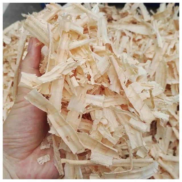 High quality natural wood shavings for use as animal bedding or stuffing material, for sale in bulk, wood wool hot sale - Image 4