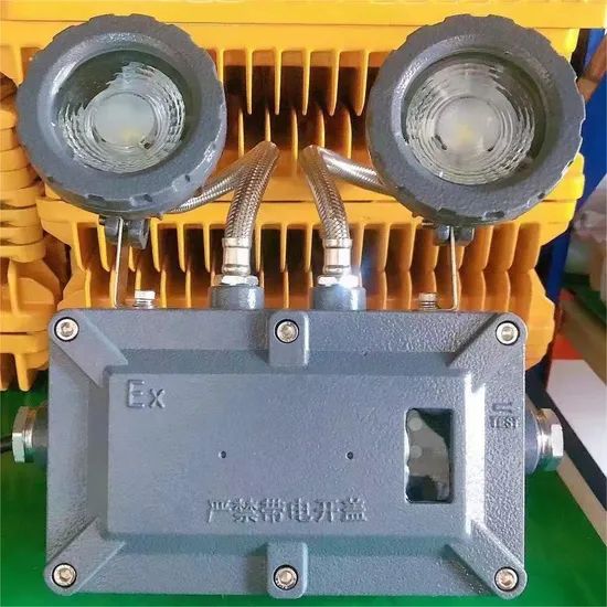 Customized Emergency Exit Sign Light Explosion Proof Emergency Light - Image 5