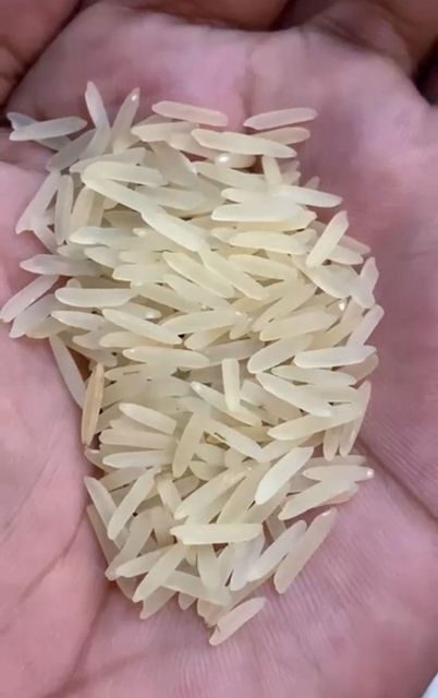 Rice, Basmati Rice, IRRI-6,IRRI-9,etc - Image 2