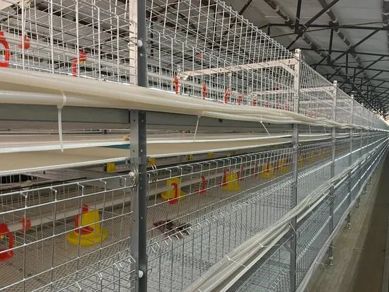 Compact Multi-Tier Chicken Coop for Efficient Poultry Farming - Image 3