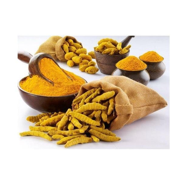 High Quality Erode Variety Curcuma Longa Dried Turmeric Finger - Image 3